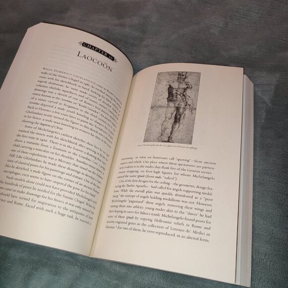 Book Michelangelo and the Pope's Ceiling Ross King New York Times Bestseller - Picture 11 of 16